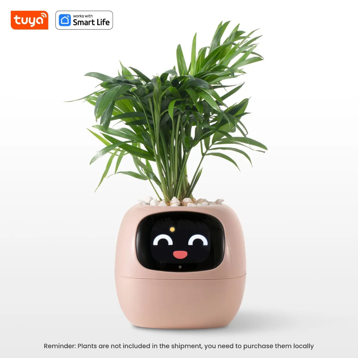 PlantifyPro™ | AI Smart Planter
