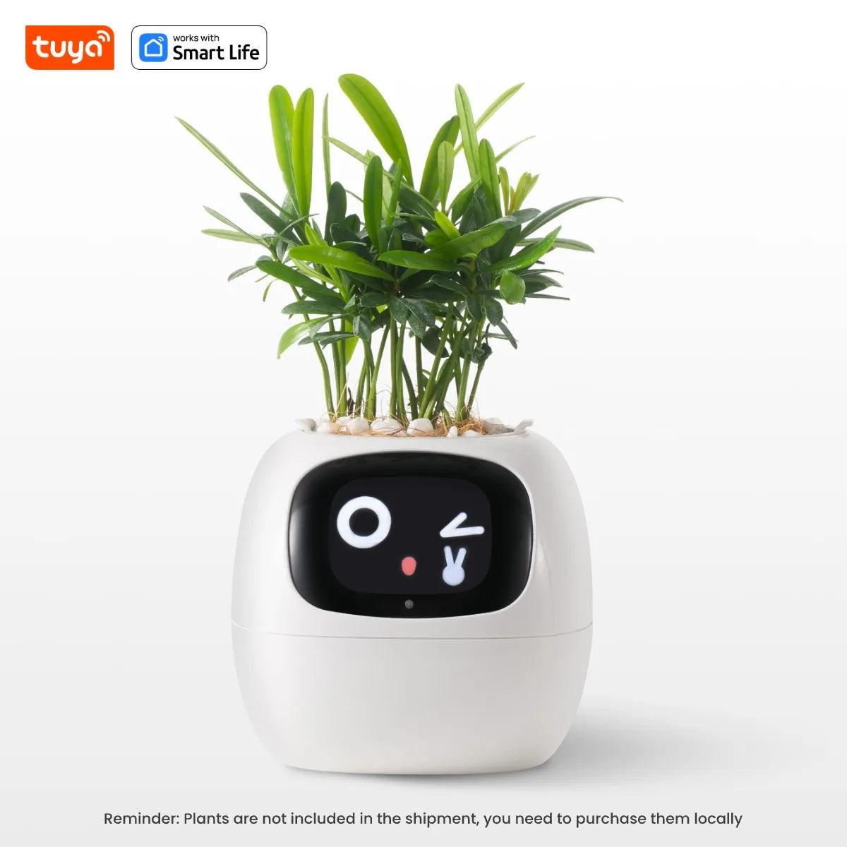 PlantifyPro™ | AI Smart Planter