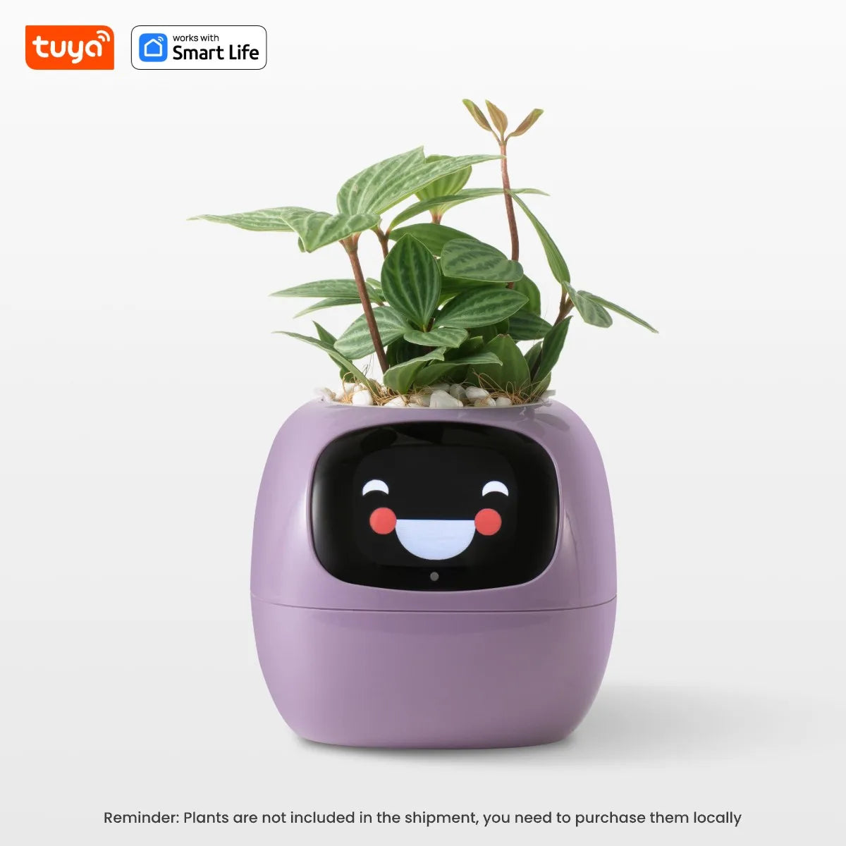PlantifyPro™ | AI Smart Planter