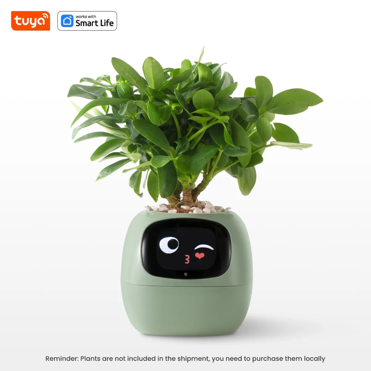 PlantifyPro™ | AI Smart Planter