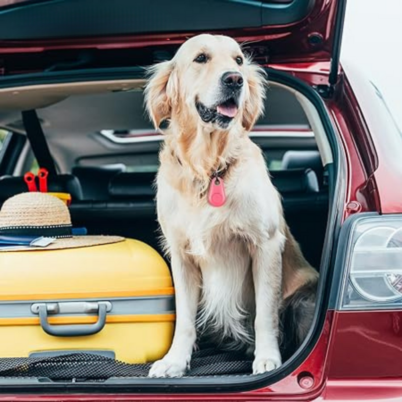 PawTrack™ | Känn aldrig hjärtesorgen av att förlora din lurviga vän