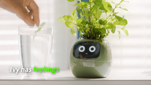 PlantifyPro™ | AI Smart Planter