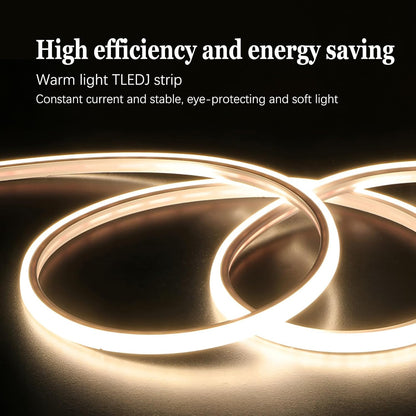 Väggzen™ | En blomstrande blandning av konst, natur och belysning