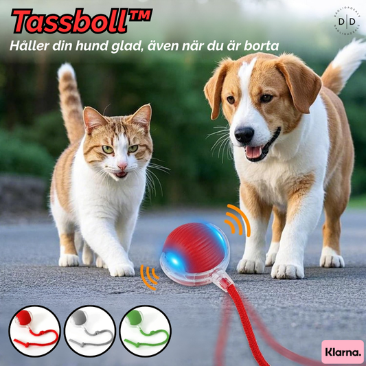 Tassboll™ | Håller din hund glad, även när du är borta