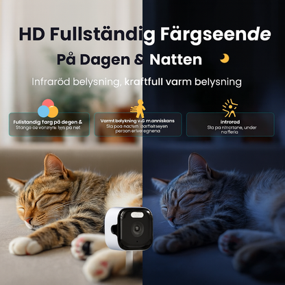SafeView™ | Sluta oroa dig – dygnet-runt-säkerhet från insidan av ditt fönster
